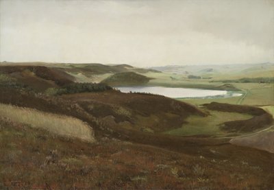 Uma paisagem perto de Bryrup, Jutlândia de Laurits Andersen Ring