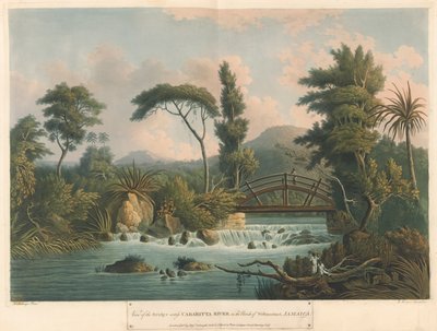 O Rio Cabaritta, de Six Views in the Island of Jamaica, litografia de I. Merigot de L. (after) Belanger