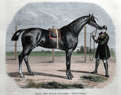 O cavalo de corrida inglês Eclipse. Ilustração de Rouyer. de L. (after) Rouyer