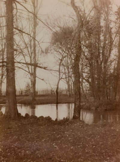 Álbum da Primeira Guerra Mundial em Friuli-Venezia Giulia: a lagoa no parque de Villa Brazza, Hospital de guerra n. 17, Soleschiano Manzano de L. Verdiani