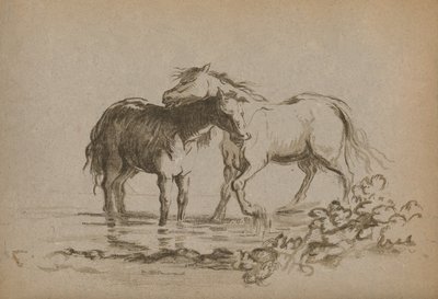 "Cavalos", 1903 de Lady Diana Spencer