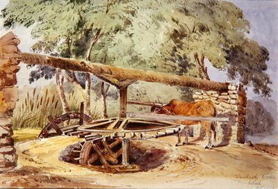 Roda da Água Turca, Heliópolis de Lady Louisa Tennyson