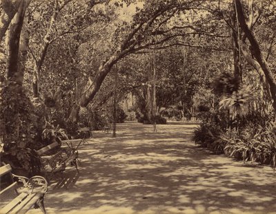 Jardim do Palácio Sukh-Vilas, 1880-90. de Lala Deen Dayal