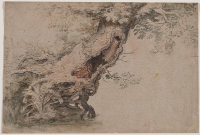 Hollow Tree, depois de Roelant Savery de Lambert Doomer
