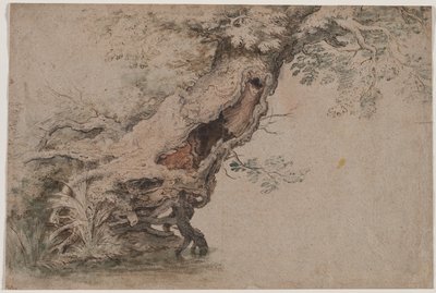 Hollow Tree, depois de Roelant Savery, depois de 1670. de Lambert Doomer