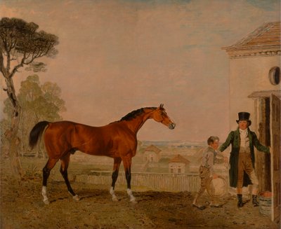 Sultão" na Marquess of Exeter