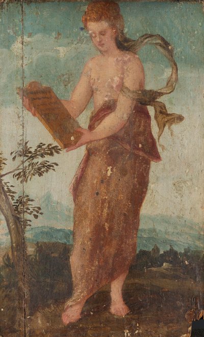 Mulher com painel de texto de Lambert Sustris (circle of)