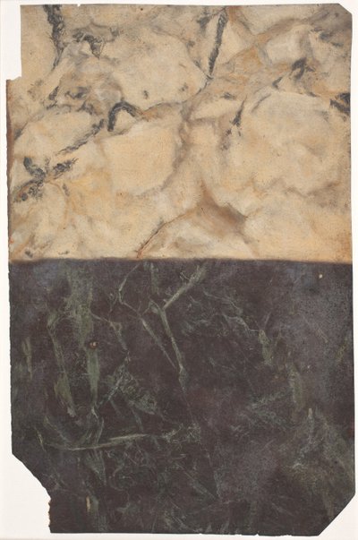 Draft para dois tipos diferentes de marmoreio, um preto-azul e um dourado-branco. de Lambert van Haven