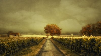 Estrada da Vinha do Outono de Lars van de Goor †
