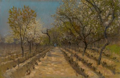 Vinhedo, c.1890-95 de Laszlo Mednyanszky