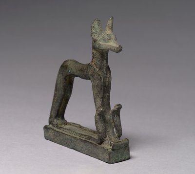 Chacal, 664-30 aC de Late Period Egyptian