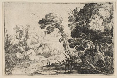 Rio na floresta. de Laurent de la Hyre