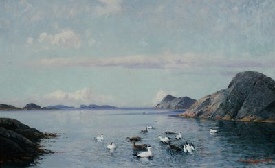 Costa Sul com aves marinhas de Lauritz Haaland