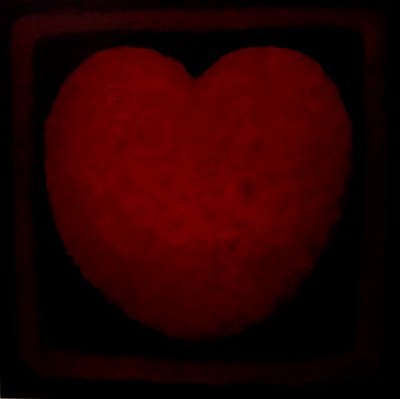 Grande amor, 2021 de Lee Campbell