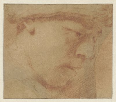 Cabeça de um rapaz, à direita de Leendert van der Cooghen (manner of)