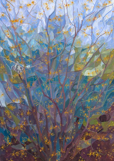 Avelã de bruxa em flor, 2015 de Leigh Glover