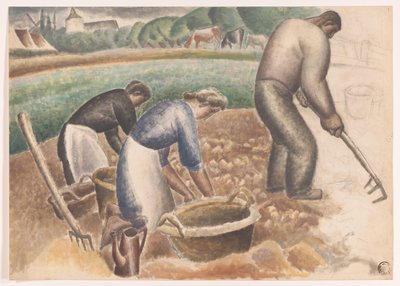 Colhedoras de batatas no campo de Leo Gestel
