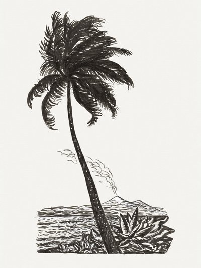 Palmeira com uma ilha (c. 1891–1941) de Leo Gestel