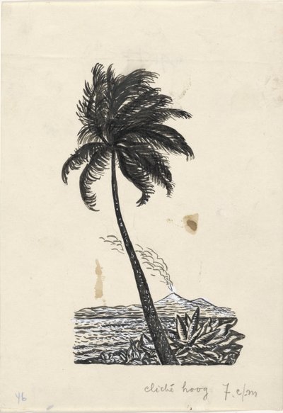 Palmeira com uma ilha com um vulcão ao fundo de Leo Gestel