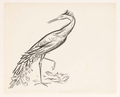 Garça à beira da água com dois peixes pelas pernas de Leo Gestel
