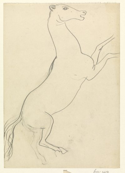 Criação de cavalo sem crina de Leo Gestel