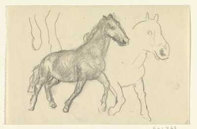 Dois cavalos correndo de Leo Gestel