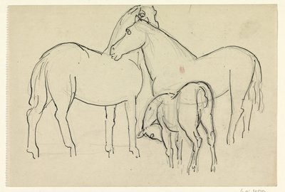 Dois cavalos e um potro de Leo Gestel