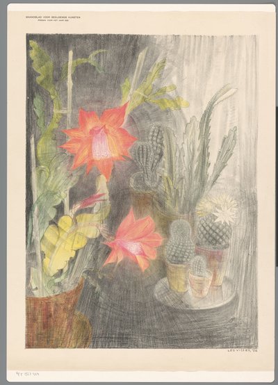 Tachos com cactos e plantas em flor de Leo Visser