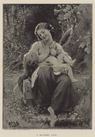 Amor de uma mãe de Leon Bazile Perrault