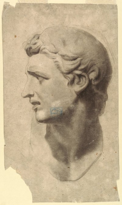 Desenho, Estudo de uma cabeça clássica masculina (a partir de um molde de gesso), 1881-92 de Leon Dabo