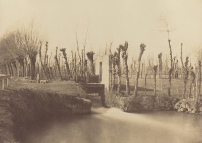 Paisagem, Montebello,c. 1860 (foto) de Léon Gérard