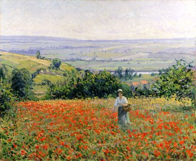 Mulher em um campo de papoula de Leon Giran Max