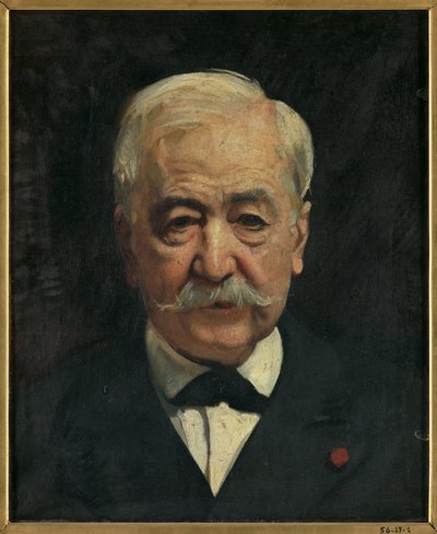 Retrato de Ferdinand de Lesseps de Leon Joseph Florentin Bonnat