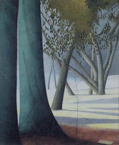 Troncos de faia de Leon Spilliaert