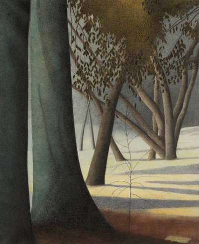 Troncos de faia, 1945. de Leon Spilliaert