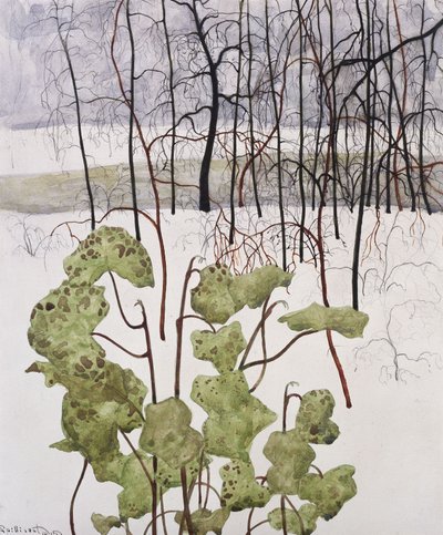  de Leon Spilliaert