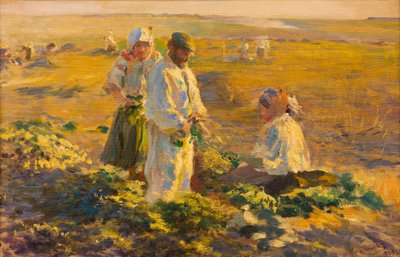 Levantamento da beterraba de Leon Wyczolkowski