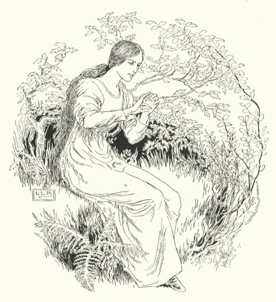 Fui à madeira e consegui-a (gravura) de Leonard Leslie Brooke