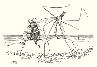 As Pernas Longas do Papá e a Mosca (litho) de Leonard Leslie Brooke