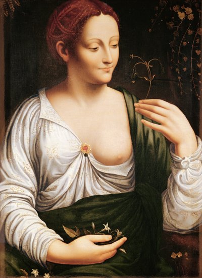  de Leonardo da (school of) Vinci