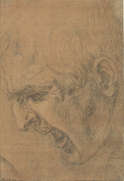 Cabeça de um homem gritando de Leonardo da Vinci (follower of)
