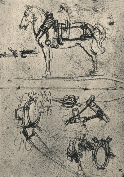 Um cavalo de carroça aproveitado e estudos do chicote de fios, c1480 1945 de Leonardo da Vinci