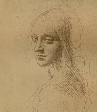 Uma cabeça feminina, c1472-c1519 1883, de Leonardo da Vinci