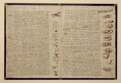 Uma página do Codex Leicester, 1508-12 (tinta sépia em papel de linho) de Leonardo da Vinci