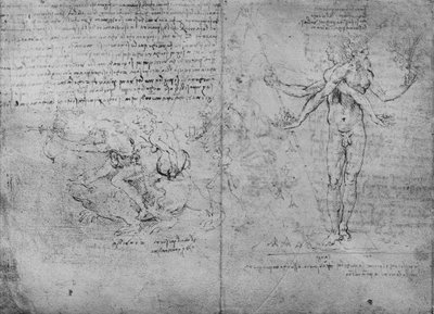 Alegorias do prazer e da dor e da inveja, c1480 1945 de Leonardo da Vinci