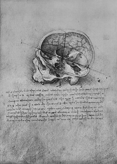 Desenho anatômico de uma caveira à esquerda, c1480 1945 de Leonardo da Vinci