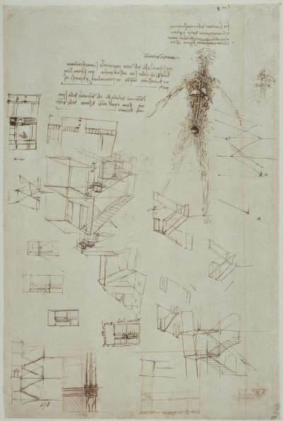 estudos de anatomia de Leonardo da Vinci