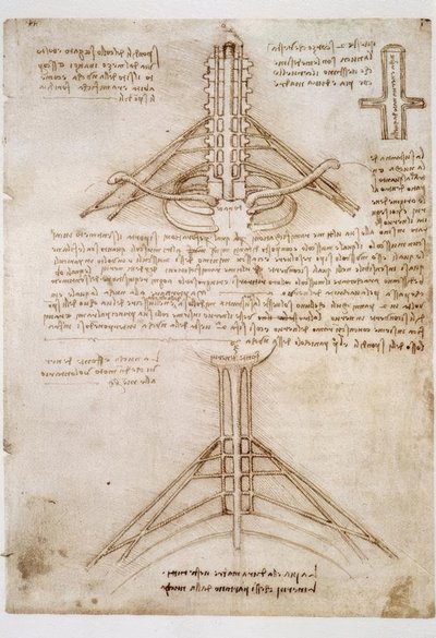 estudos de anatomia de Leonardo da Vinci