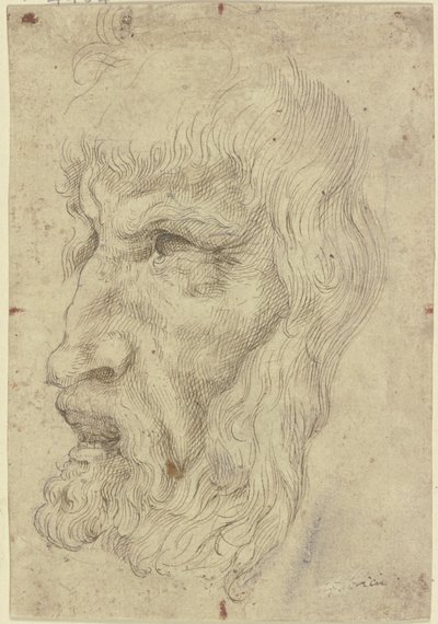 Máscaras antigas à esquerda de Leonardo da Vinci