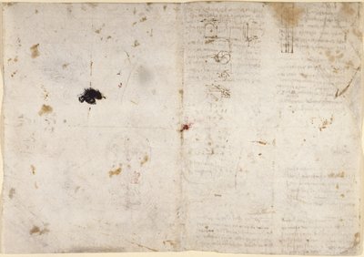 Arundel 263, f.225v, f.230 Desenhos sobre os poderes e forças mecânicos, percussão, gravidade, movimento, óptica e astronomia, com várias propostas aritméticas e geométricas (caneta e tinta sobre papel) de Leonardo da Vinci